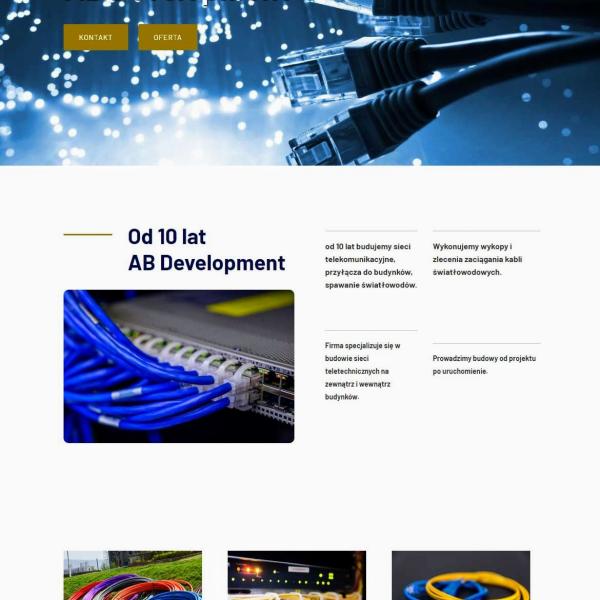 Strona internetowa wykonana dla:  AB Development